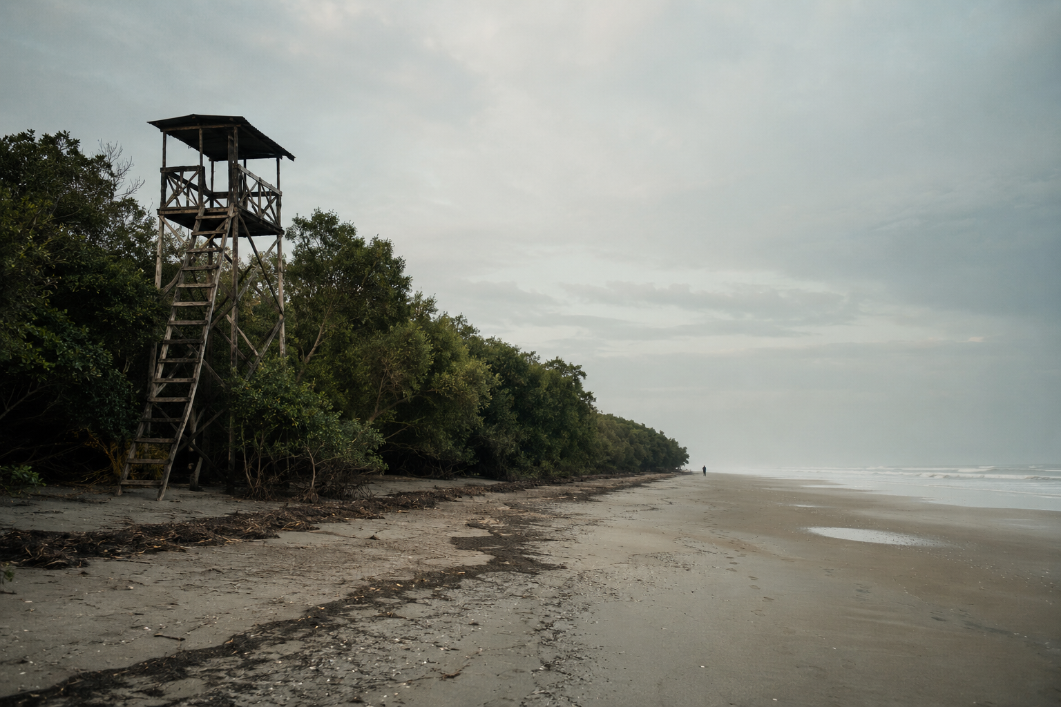 Quiet empty beach with mangroves at Bakkhali and Henry Island